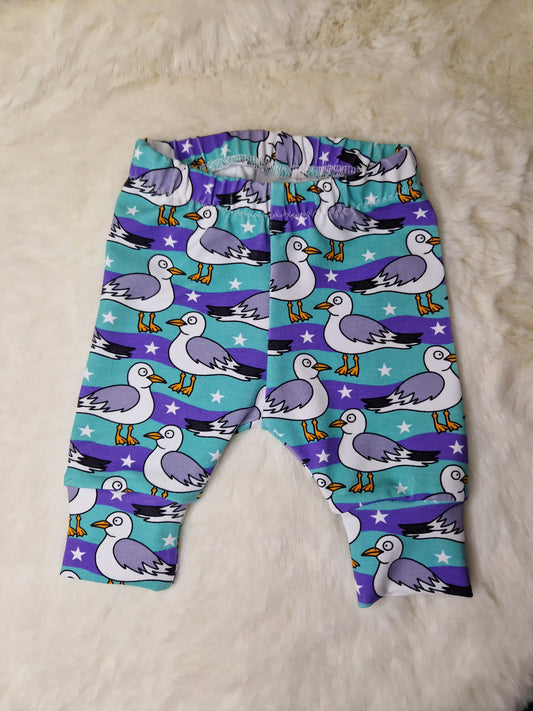 16-17inch Seagull leggings.